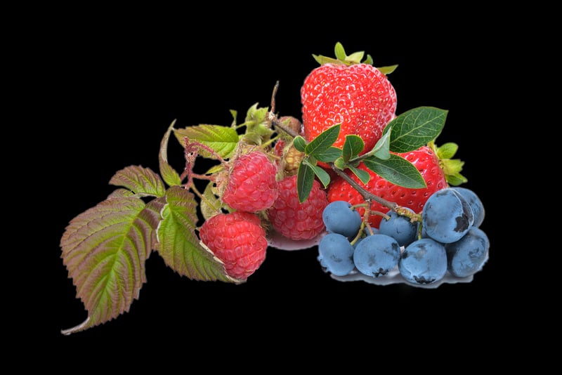 Macarons and Berries